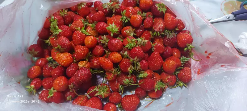 Чайная беседка