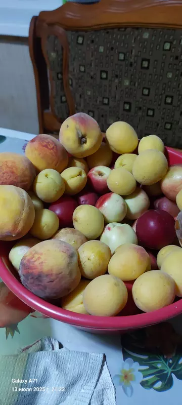 Чайная беседка