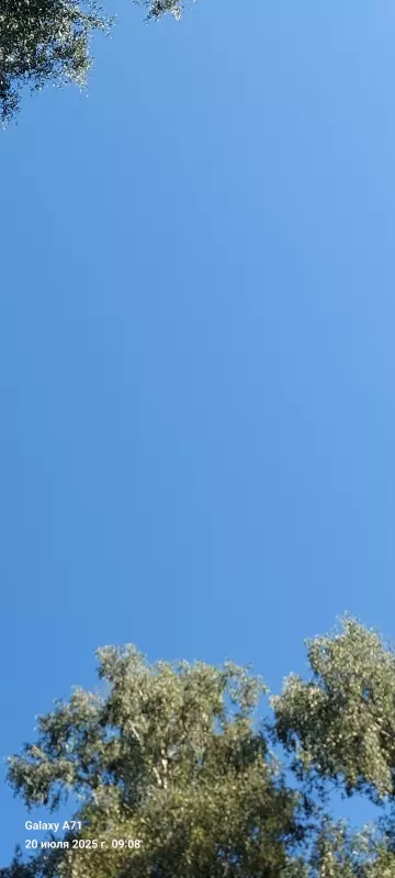 Чайная беседка