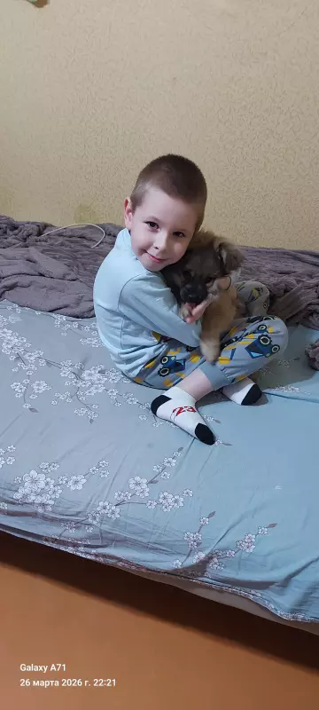 Чайная беседка