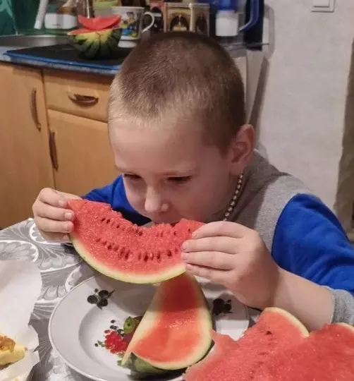 Чайная беседка