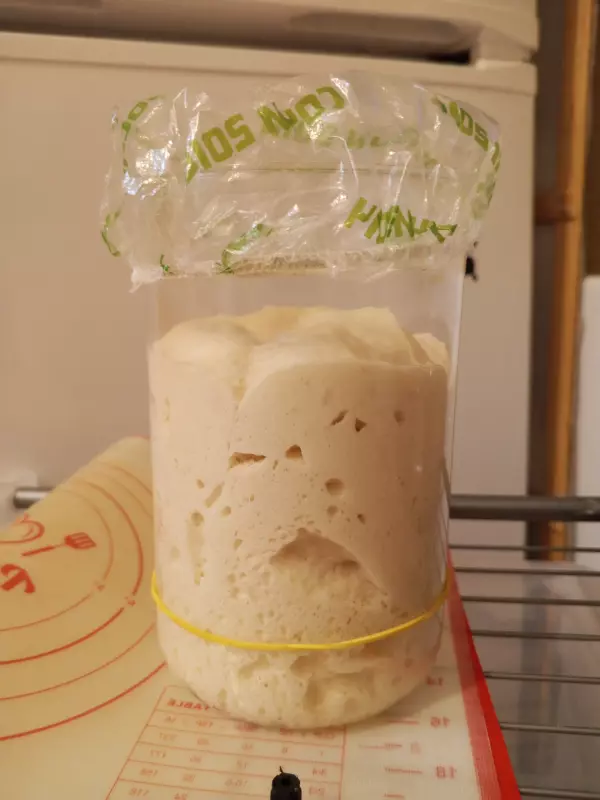 Закваска Levito madre от Gabriele Bonci. Кто со мной?