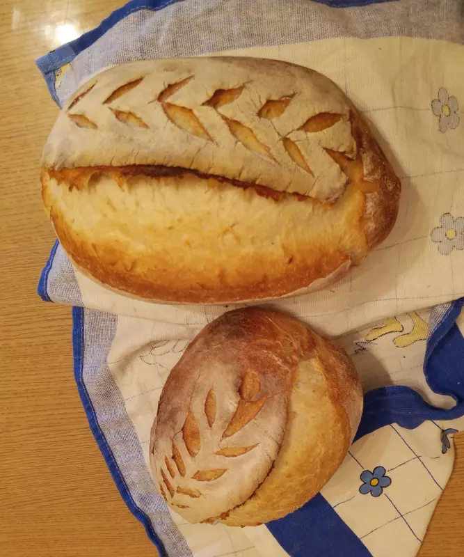 Промышленная закваска ("Хлеб счастья" и другие)