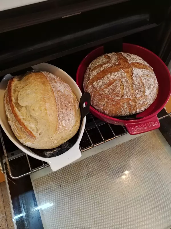 Промышленная закваска ("Хлеб счастья" и другие)