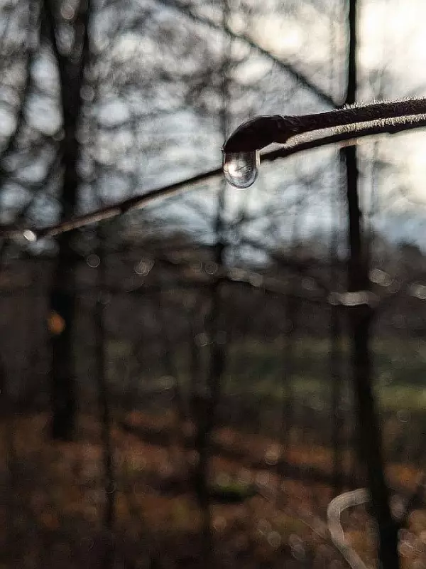 Фотонастроение