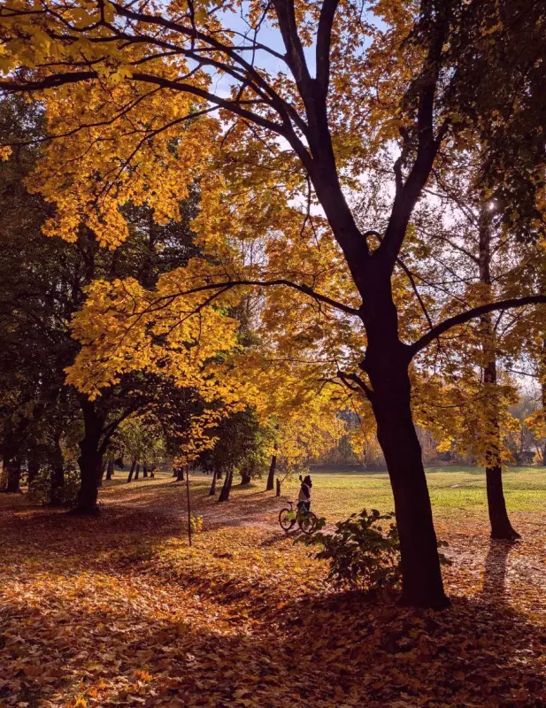 Tapтaлeтки & Ко