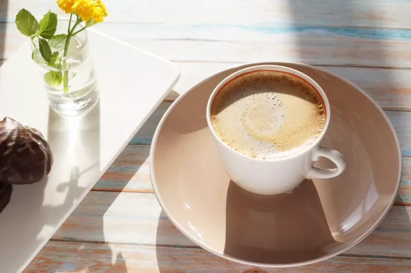 Колесо вкусов кофе: как читать карту дескрипторов и находить оттенки в чашке