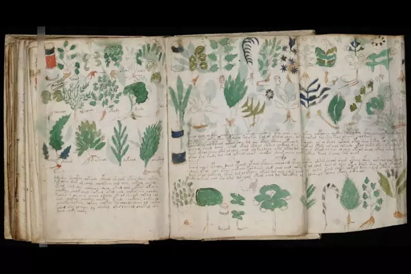 Новое исследование подтверждает теорию шифра рукописи Войнича