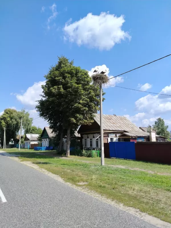 Путешествие в Белоруссию. Вопросы