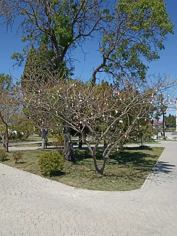 Отдых в Крыму