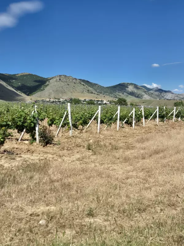 Отдых в Крыму