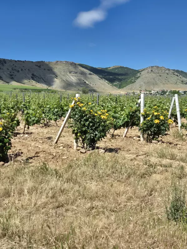Отдых в Крыму