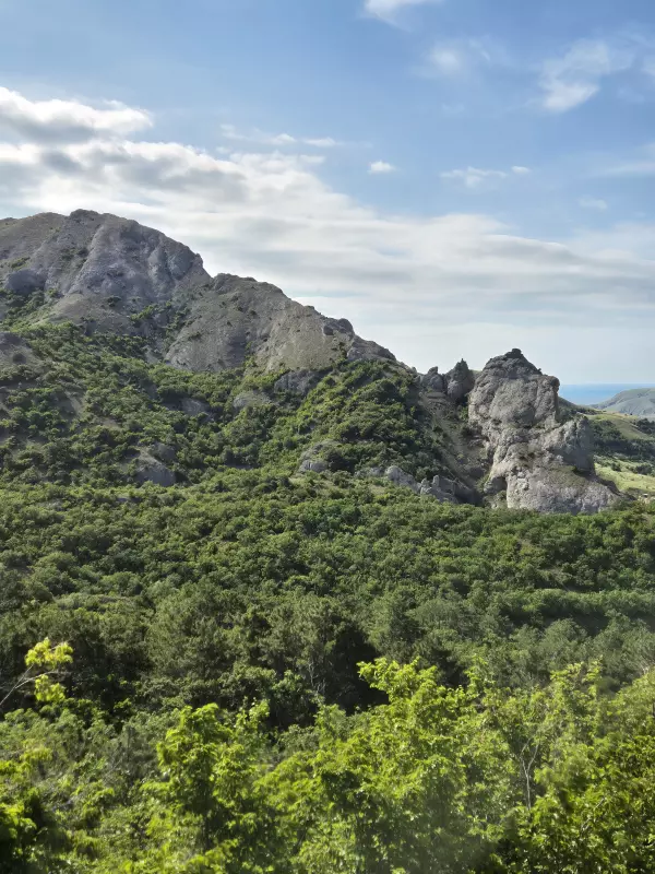 Отдых в Крыму