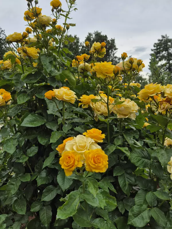 Отдых в Крыму