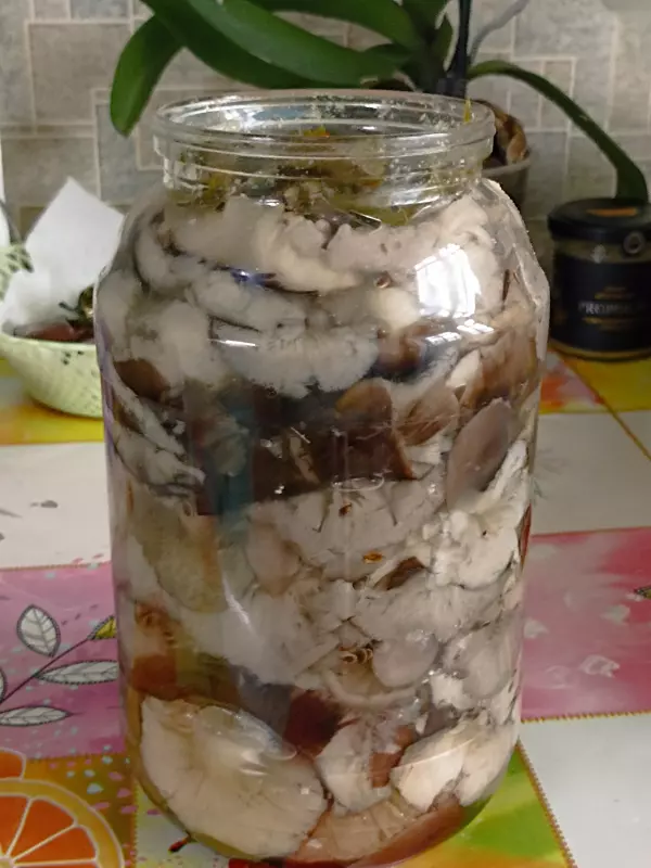 По грибы с лукошком