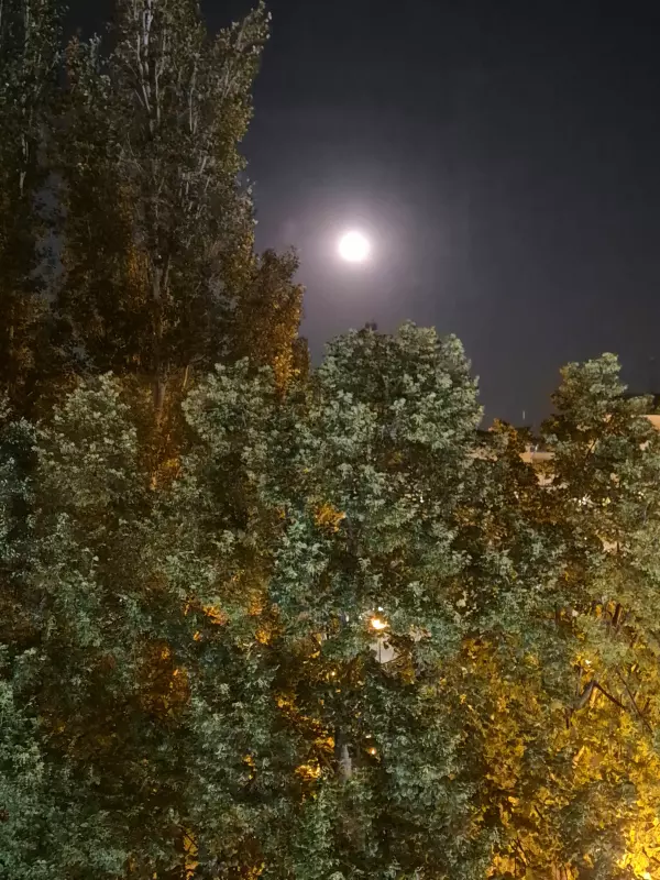 Такое разное небо
