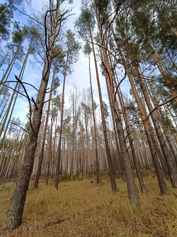 Фотонастроение