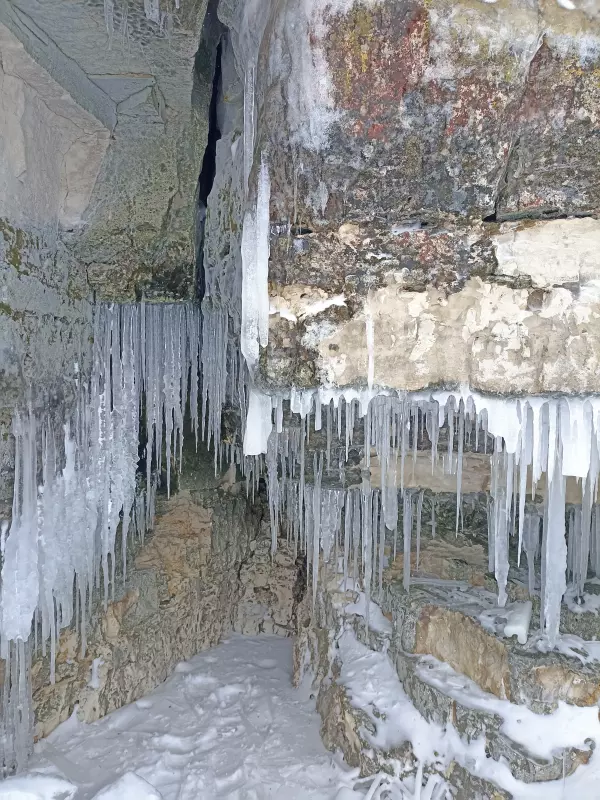 Фотонастроение