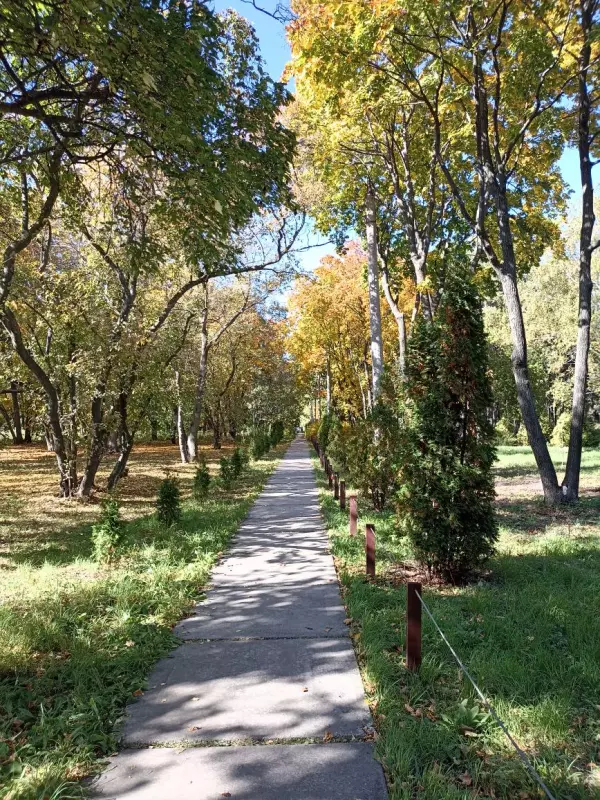       Ах, Самара - городок... 