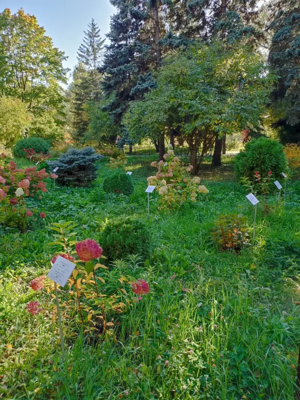       Ах, Самара - городок... 