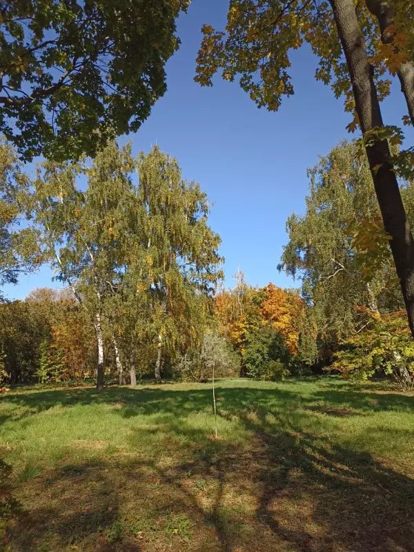       Ах, Самара - городок... 