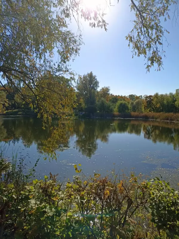       Ах, Самара - городок... 