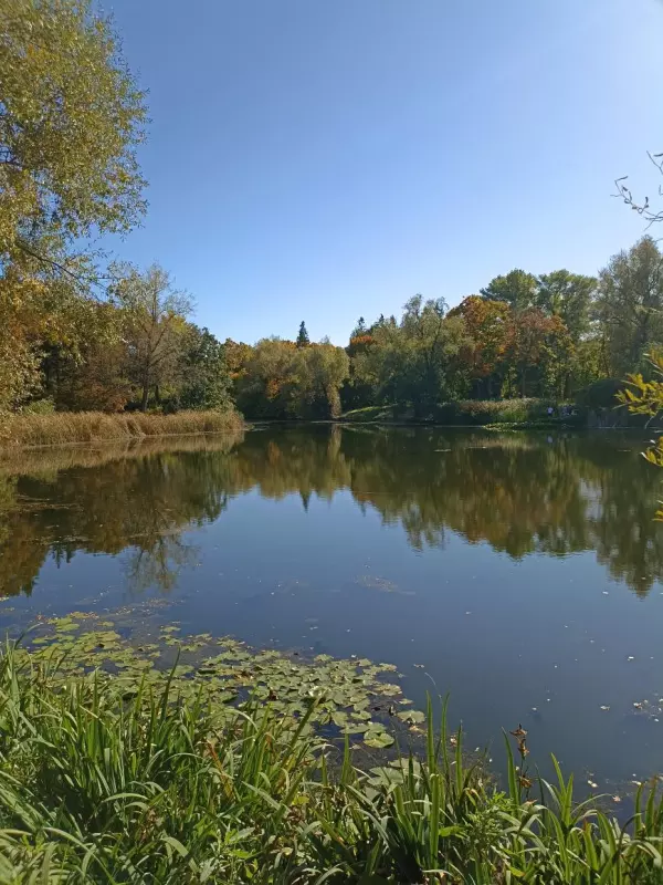       Ах, Самара - городок... 