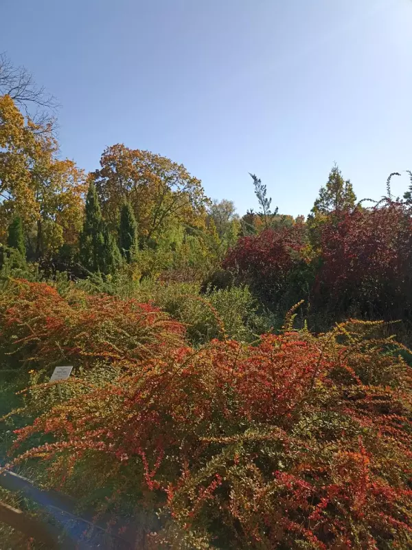       Ах, Самара - городок... 