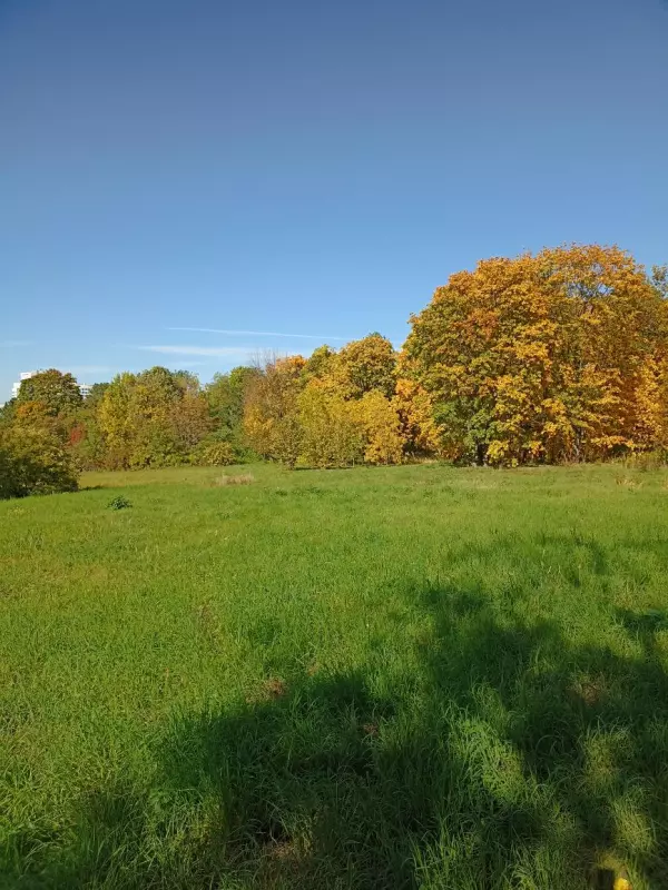       Ах, Самара - городок... 