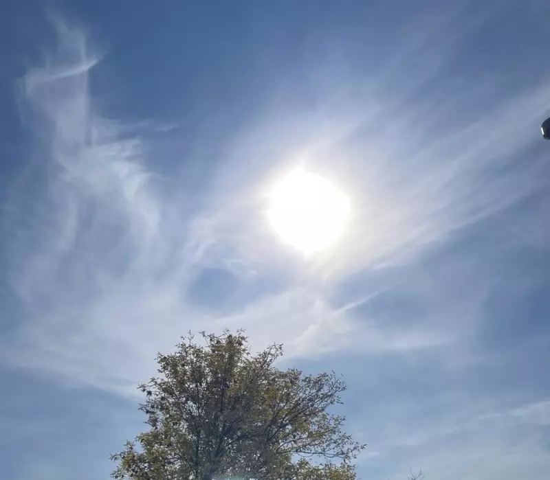 Такое разное небо