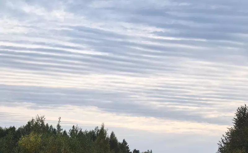 Такое разное небо