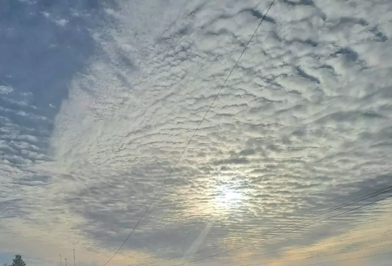 Такое разное небо