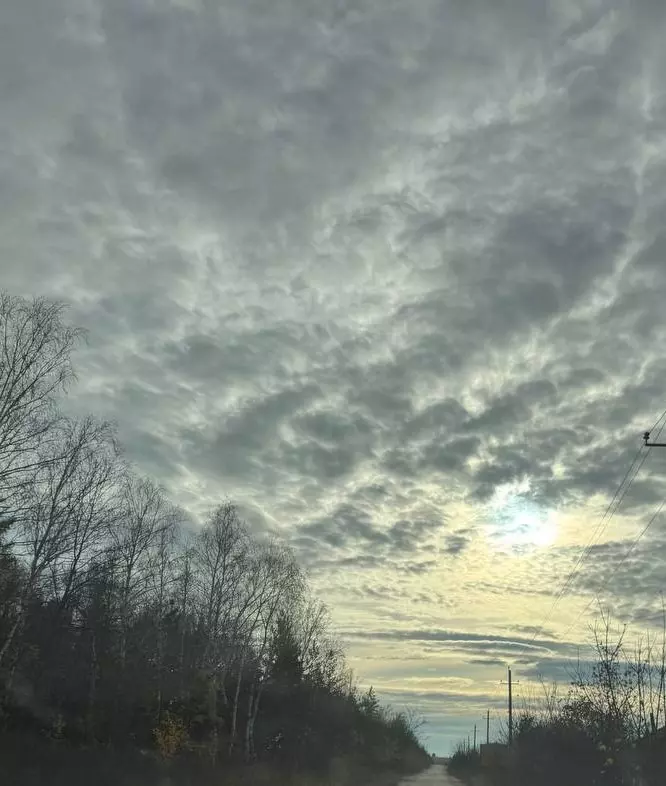 Такое разное небо