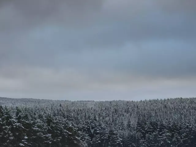 Такое разное небо