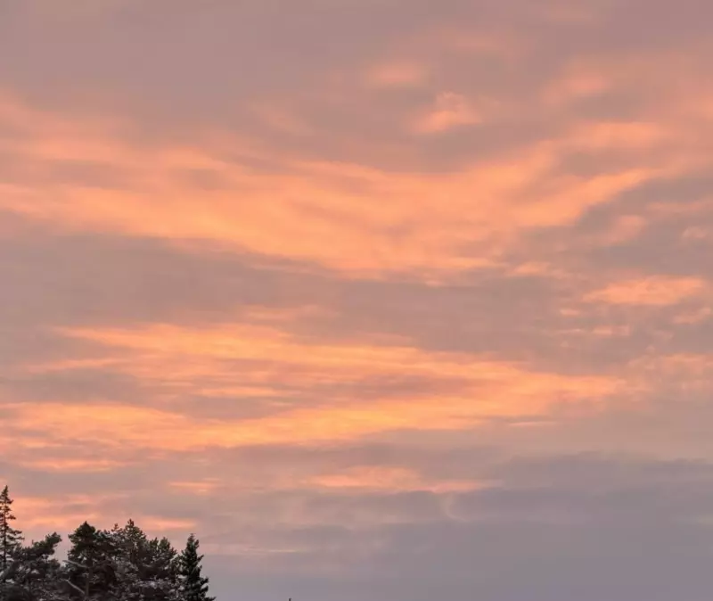 Такое разное небо