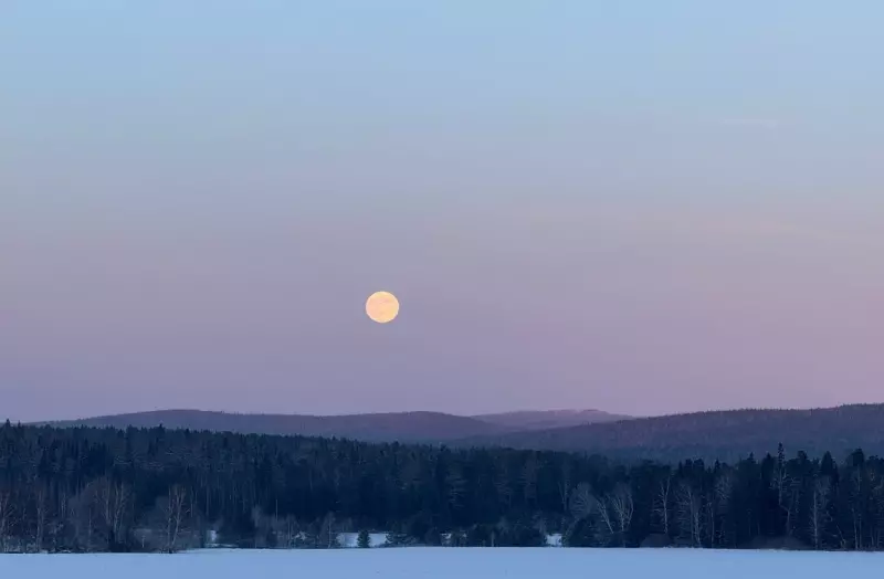 Такое разное небо