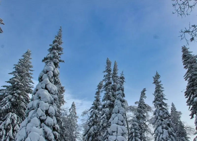 Такое разное небо