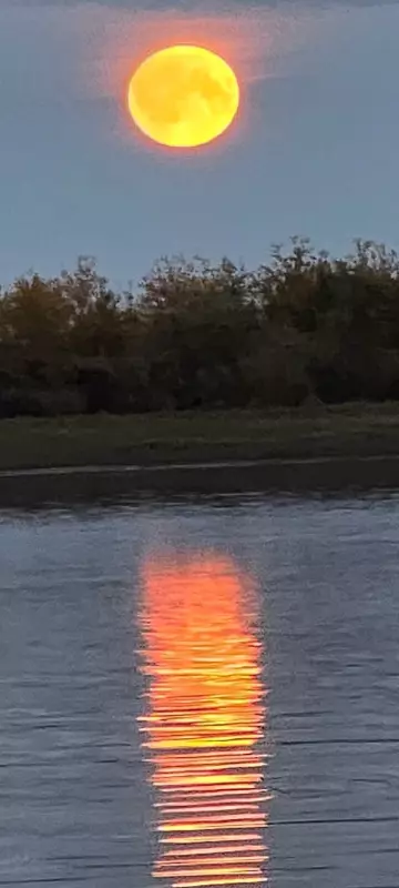 Такое разное небо
