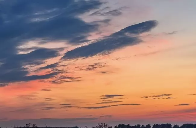 Такое разное небо