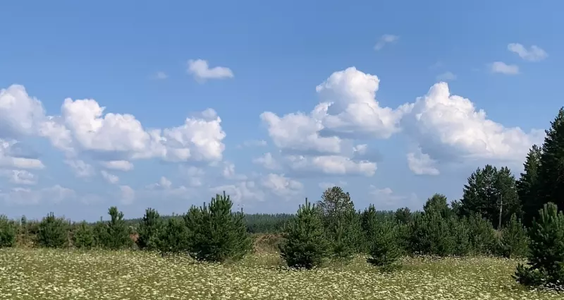 Такое разное небо