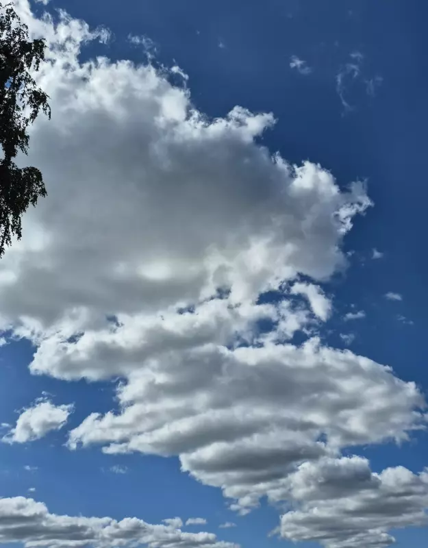 Такое разное небо