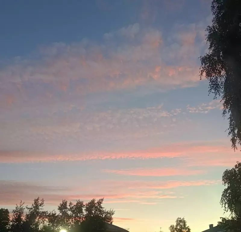 Такое разное небо