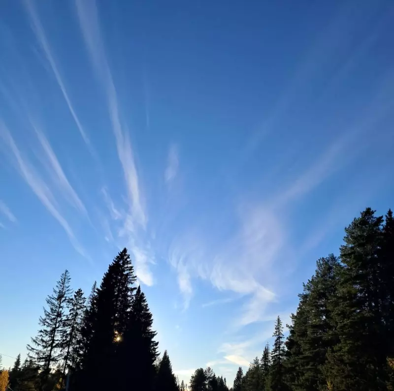 Фотонастроение