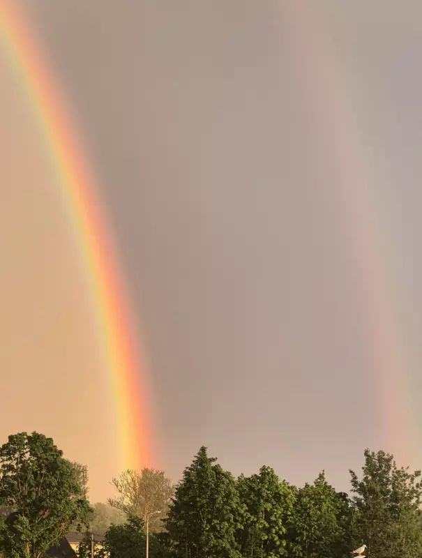 Такое разное небо