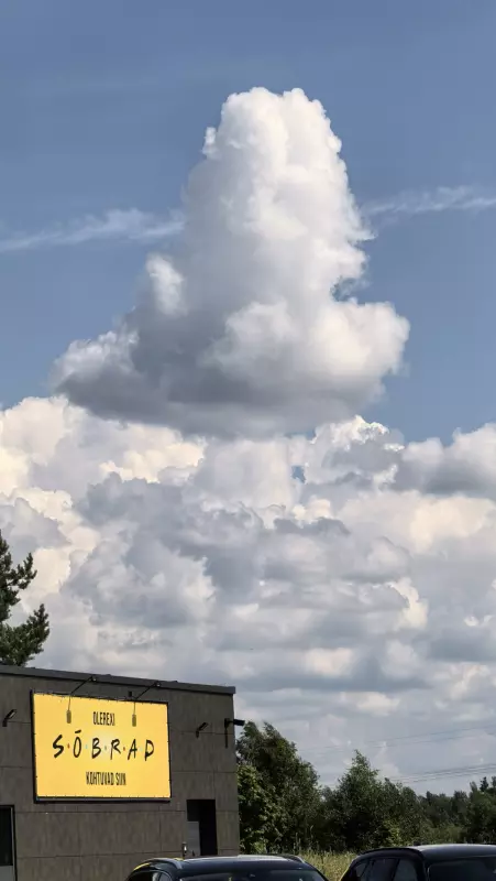 Такое разное небо