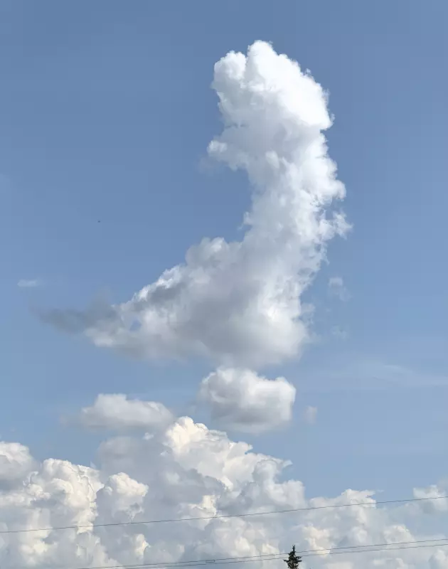 Такое разное небо