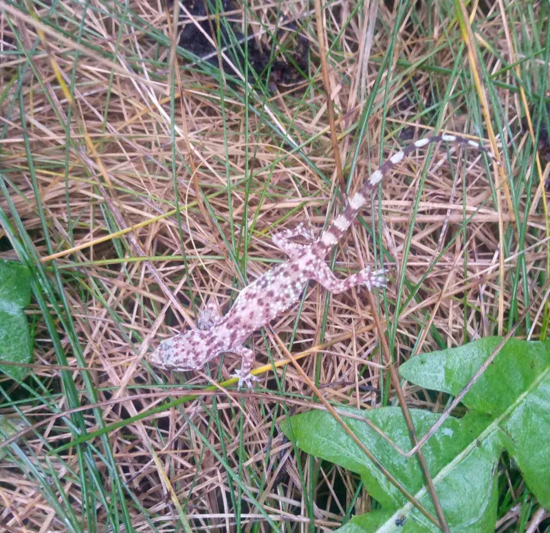 Фотонастроение