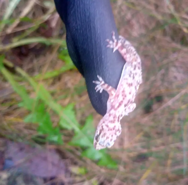 Фотонастроение