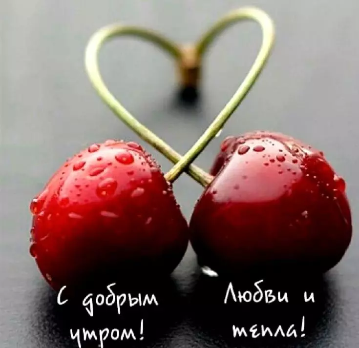 Tapтaлeтки & Ко