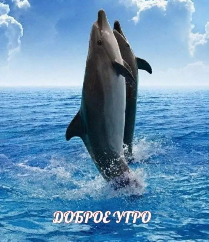 Tapтaлeтки & Ко